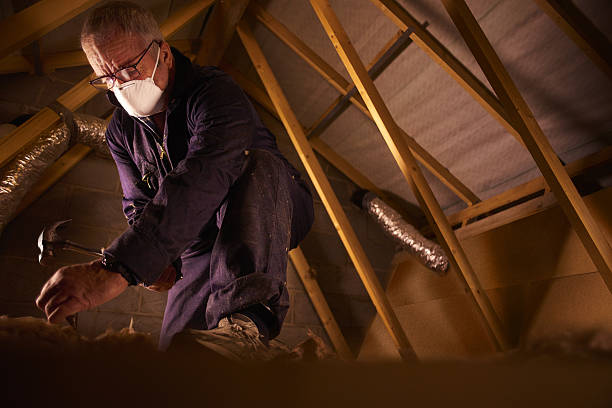 Professional Insulation Contractor in Norwood, OH